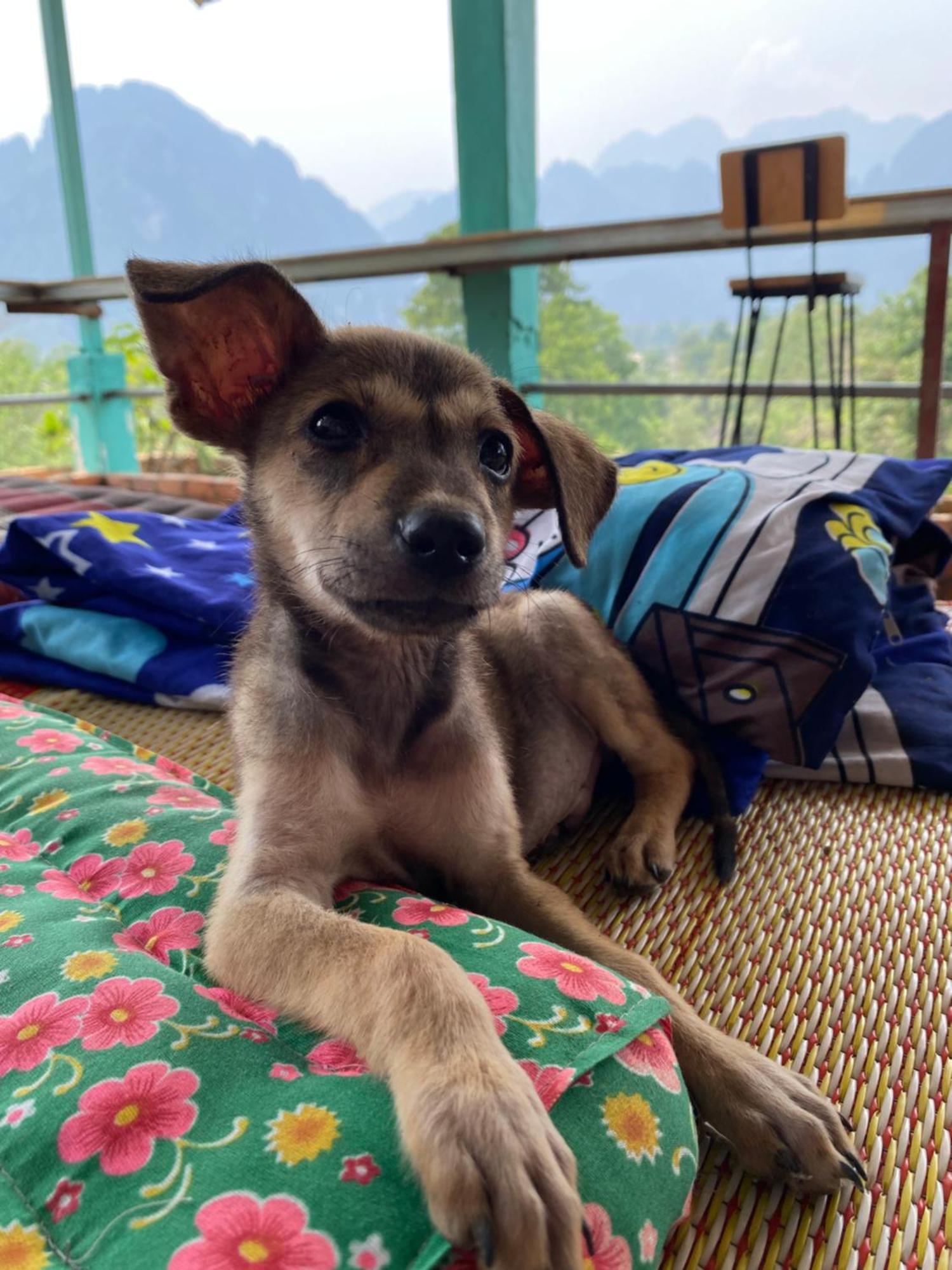 Blue Sunset Hostel Vang Vieng Ngoại thất bức ảnh